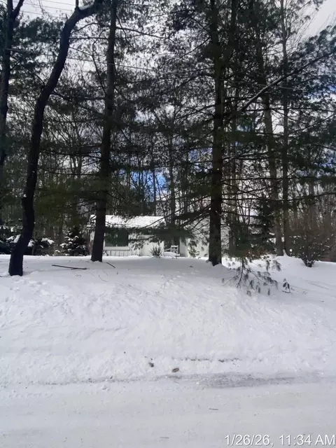 Exterior - 590 Wilson, Harrison, MI 48625 photo 7 of 7