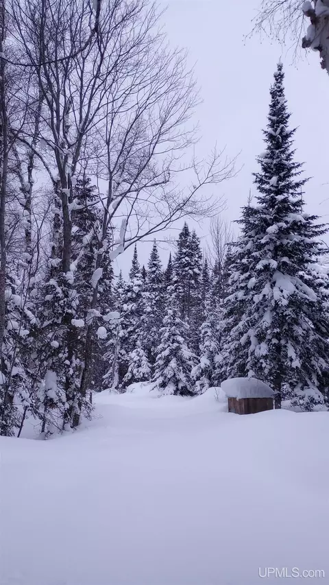 00 E County Road H58, Grand Marais, MI 49839