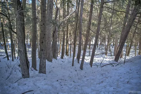 Other - 4318 K, Bark River, MI 49807 photo 19 of 25