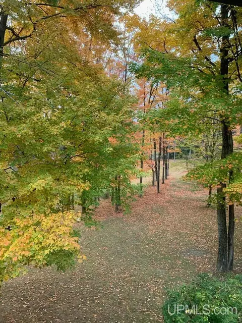Other - 4318 K, Bark River, MI 49807 photo 25 of 25