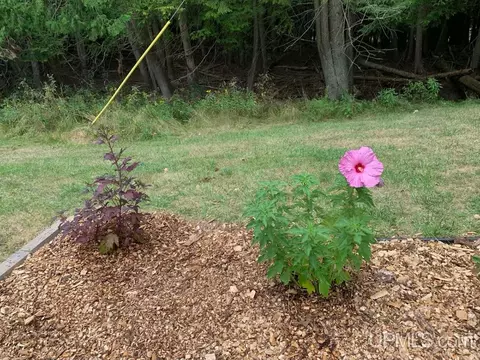 Other - 4318 K, Bark River, MI 49807 photo 22 of 25