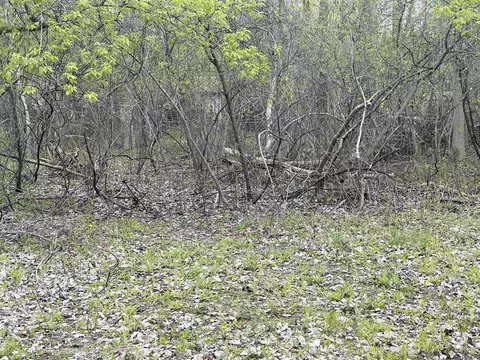 4300 Zimmer, Bay City, MI 48706