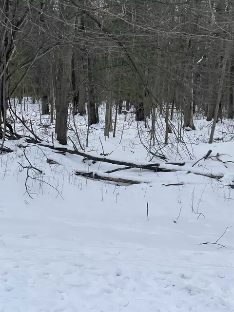 5591 Huckleberry, Shepherd, MI 48883