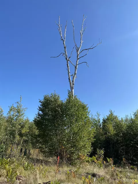 5586 N Shore Helen Lk, Ishpeming, MI 49849 photo 48