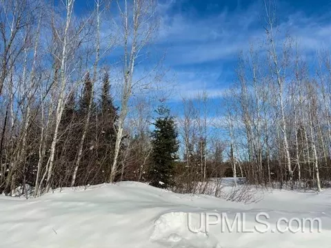5586 N Shore Helen Lk, Ishpeming, MI 49849
