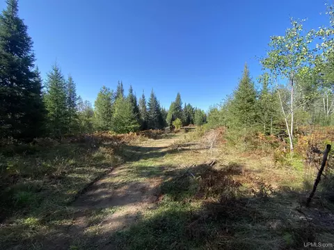 5586 N Shore Helen Lk, Ishpeming, MI 49849 photo 44