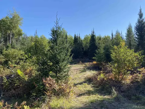 5586 N Shore Helen Lk, Ishpeming, MI 49849 photo 7
