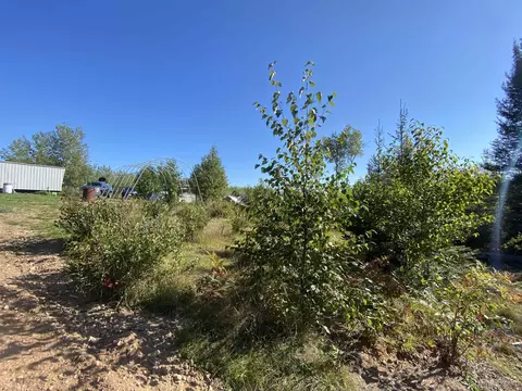 5586 N Shore Helen Lk, Ishpeming, MI 49849 photo 13