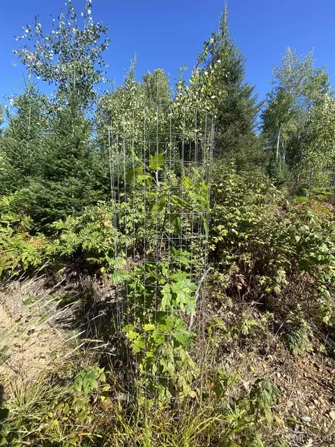 5586 N Shore Helen Lk, Ishpeming, MI 49849 photo 42