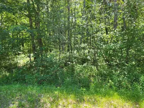 lot69 Pineway, Gladwin, MI 48624 photo 2