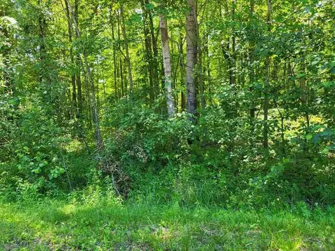 lot69 Pineway, Gladwin, MI 48624 photo 3