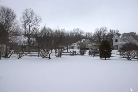 1015 Donnalee, Monroe, MI 48162 photo 42