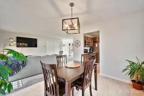 14154 Ruby, Big Rapids, MI 49307 photo 10