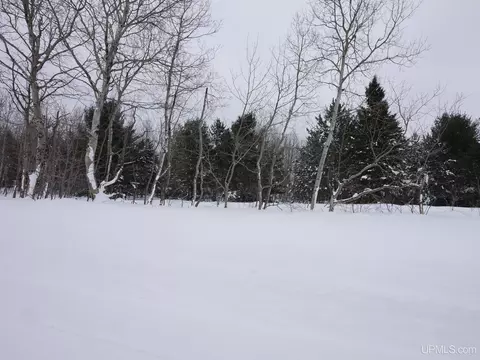 Parcel E Puuri, Atlantic Mine, MI 49905 photo 13
