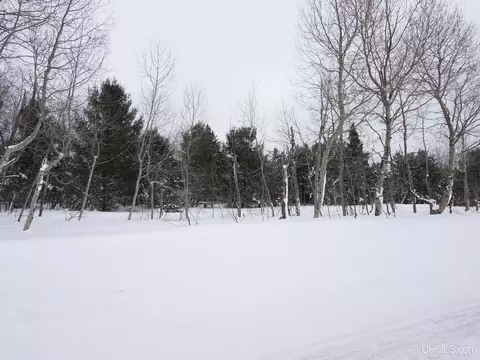 Parcel E Puuri, Atlantic Mine, MI 49905 photo 10