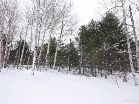 Parcel E Puuri, Atlantic Mine, MI 49905 photo 18