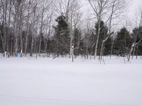 Parcel E Puuri, Atlantic Mine, MI 49905 photo 9