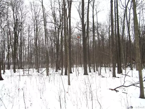 Lee Road, Waldron, MI 49288 photo 5