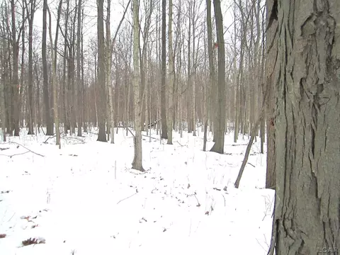 Lee Road, Waldron, MI 49288 photo 4