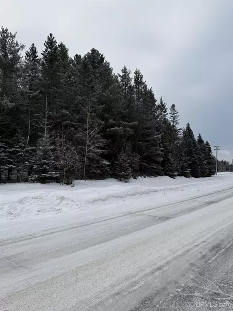 tbd Tannery, Manistique, MI 49854