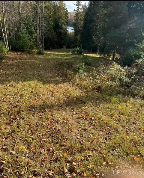 tbd Peterson, Iron Mountain, MI 49801