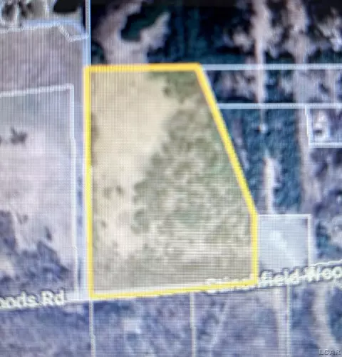 Stinchfield Woods, Pinckney, MI 48169