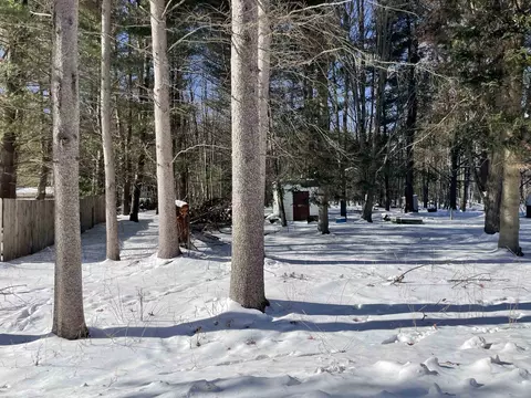 tbd Holmes #LOT 33, Lake George, MI 48633