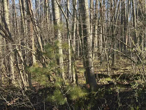 lot Apt 40 Squirrel Run, Farwell, MI 48622 photo 4
