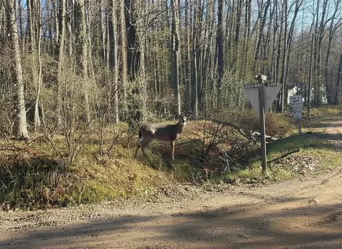 lot Apt 40 Squirrel Run, Farwell, MI 48622 photo 3