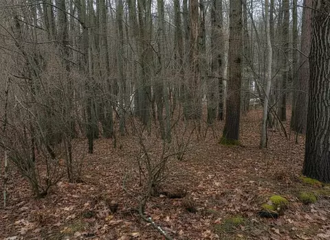 lot Apt 40 Squirrel Run, Farwell, MI 48622 photo 10