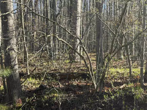 lot Apt 40 Squirrel Run, Farwell, MI 48622 photo 5