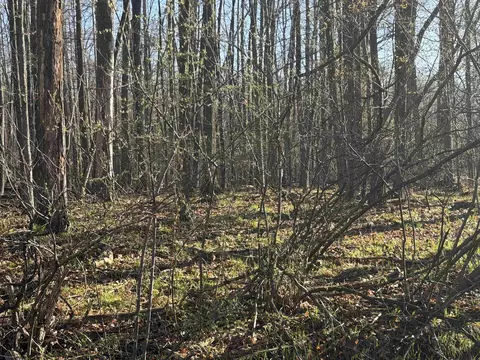 lot Apt 40 Squirrel Run, Farwell, MI 48622 photo 6