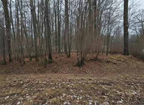 lot Apt 40 Squirrel Run, Farwell, MI 48622 photo 7