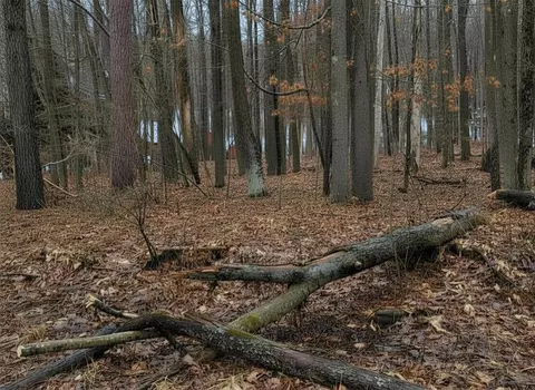 lot Apt 40 Squirrel Run, Farwell, MI 48622 photo 8