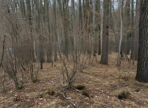 lot Apt 40 Squirrel Run, Farwell, MI 48622 photo 9