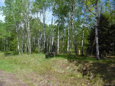 tbd Michigan, White Pine, MI 49971