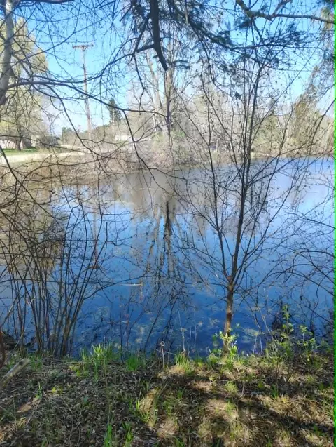 2742 Parkway, Gladwin, MI 48624