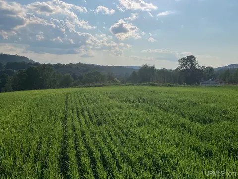 tbd Pine Crk, Vulcan, MI 49892 photo 9