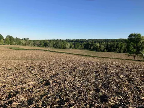 tbd Pine Crk, Vulcan, MI 49892 photo 6