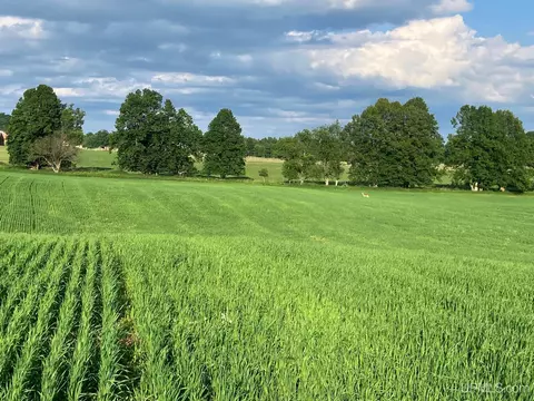 tbd Pine Crk, Vulcan, MI 49892 photo 3