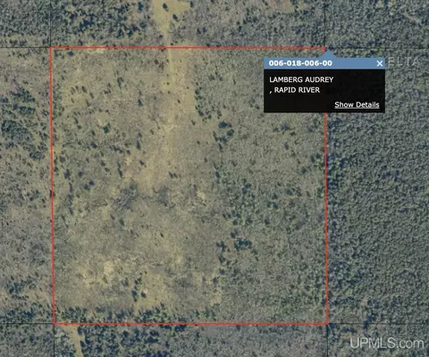 40 Tbd Off 22nd # A, Rapid River, MI 49878 photo 5