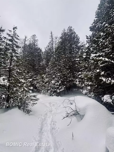 20130 E N Caribou Lk, Detour Village, MI 49725