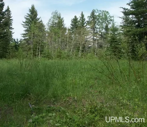 lot30 River Country, Iron River, MI 49935