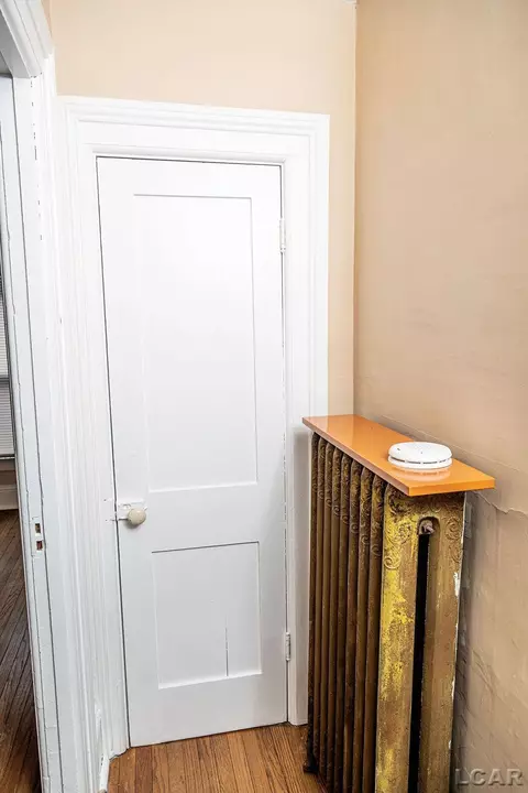 Entry Way - 169 Park, Adrian, MI 49221 photo 5 of 7