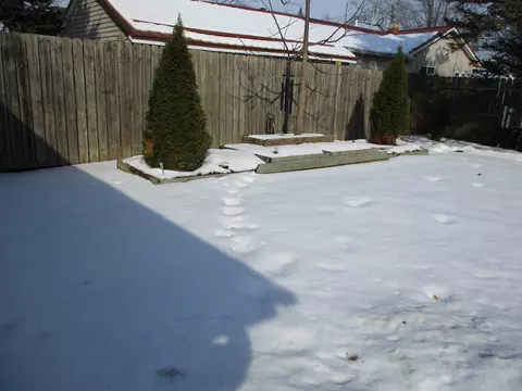 509 E Genesee St, Durand, MI 48429 photo 35