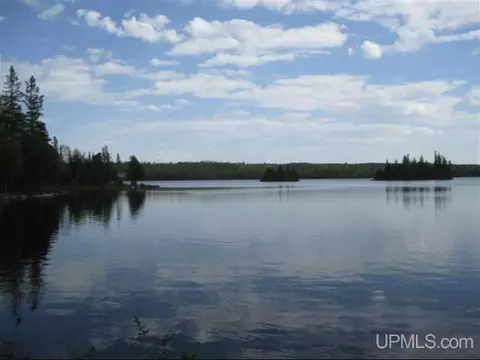 lot7 Fence Lk, Michigamme, MI 49861