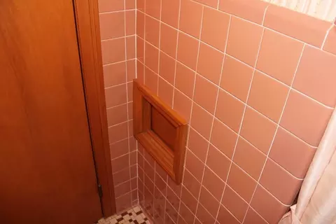 Bath - 287 E Oak, Harrison, MI 48625 photo 3 of 4