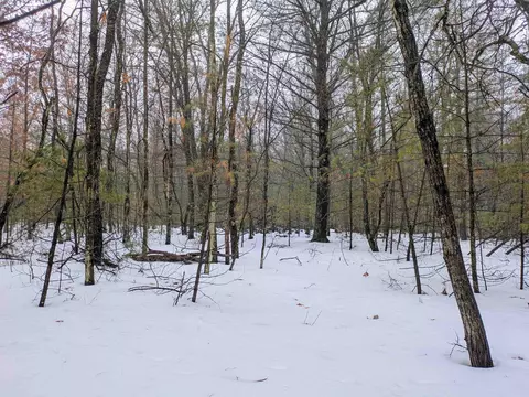 Wilderness, Alger, MI 48610 photo 6