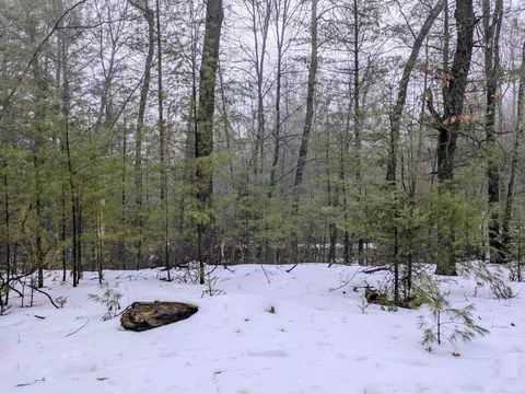 Wilderness, Alger, MI 48610 photo 3