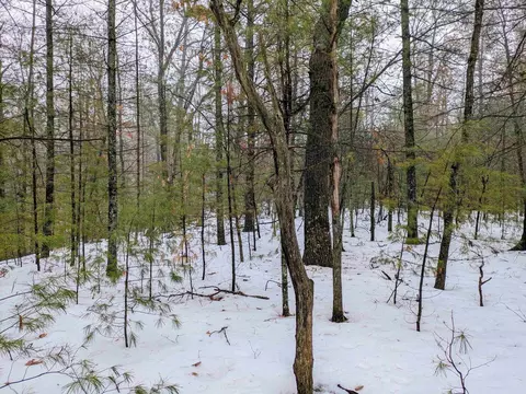 Wilderness, Alger, MI 48610 photo 8